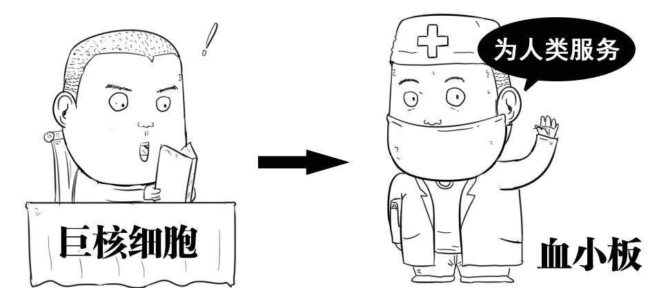 图片[10] - 什么才算真正的器大活好？看看科学的新发现！ - 壹忧舍