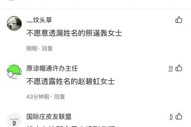 赵碧虹是什么意思?赵碧虹什么梗? - 壹忧舍