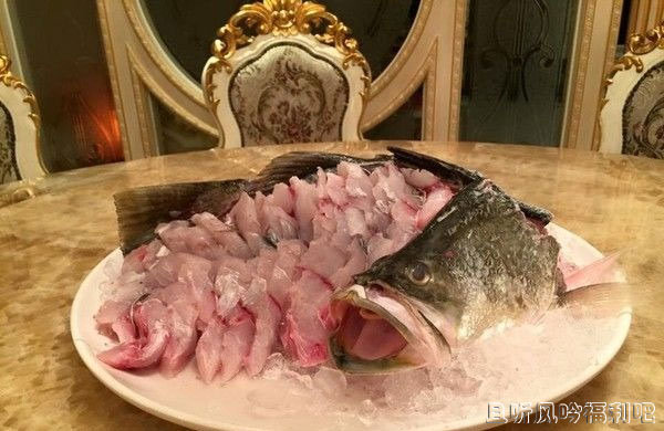 都市传说“人面鱼红衣小女孩”灵异事件真的发生了 - 壹忧舍