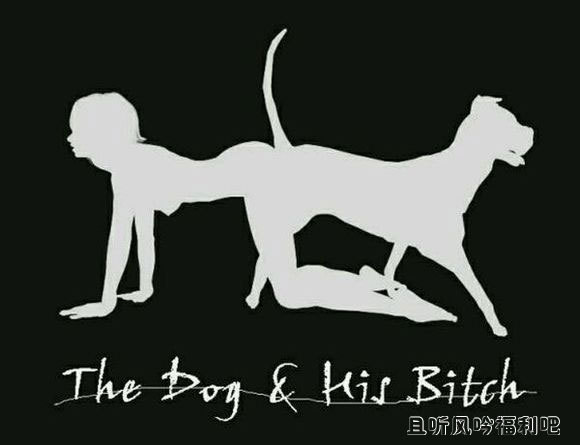 为什么说男不养猫女不养狗? - 壹忧舍