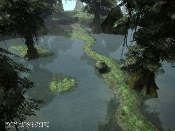 你相信沼泽中有活了2000多年的古树吗? - 壹忧舍