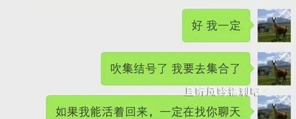 漂流瓶雇佣兵聊天原图