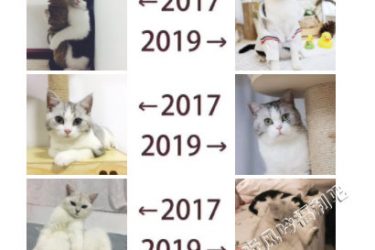 2017和2019的对比是什么梗 为什么朋友圈都在晒2017和2019的对比 - 壹忧舍