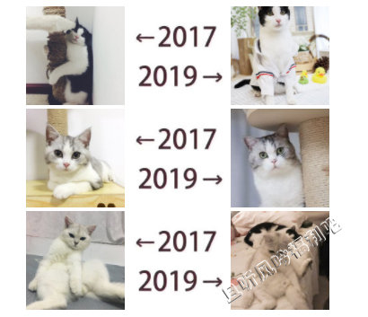 2017和2019的对比是什么梗 为什么朋友圈都在晒2017和2019的对比 - 壹忧舍