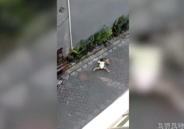 猴子骑自行车抢幼童