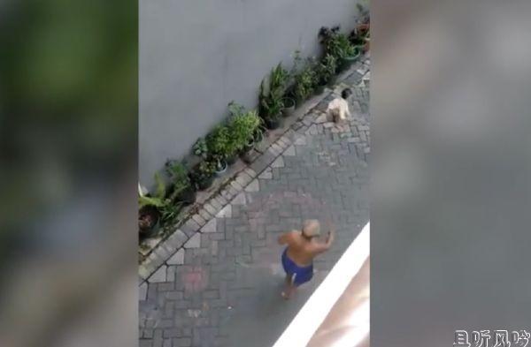 猴子骑自行车抢幼童