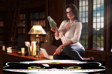 [纳迪亚之宝]Ver27041完整汉化版[PC][欧美RPG][不限速] - 壹忧舍