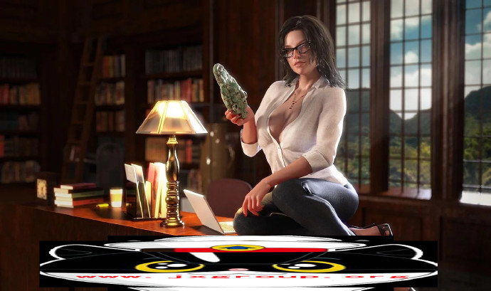 [纳迪亚之宝]Ver27041完整汉化版[PC][欧美RPG][不限速] - 壹忧舍