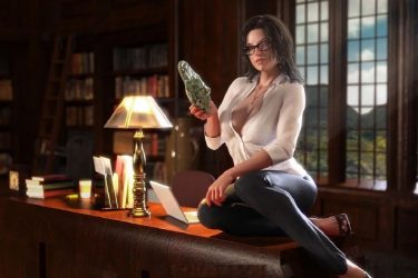 [纳迪亚之宝]ver25032完整汉化[欧美SLG][PC][不限速] - 壹忧舍