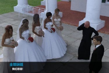 [成为空姐的日子]完整汉化[欧美SLG][PC][不限速] - 壹忧舍