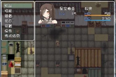 [天马圣女]完整汉化[PC][日系RPG][不限速] - 壹忧舍