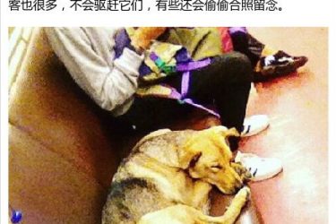战斗民族的柔情一面:最好的状态,本该如此 - 壹忧舍