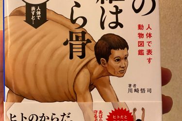 古生物画师川崎悟司的奇葩科普图鉴 - 壹忧舍