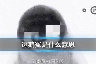 逗鹅冤是什么梗?腾讯逗鹅冤是怎么回事? - 壹忧舍