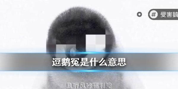 逗鹅冤是什么梗?腾讯逗鹅冤是怎么回事? - 壹忧舍