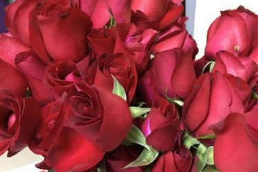 求婚玫瑰被炒成酱 男友心理阴影面积得多大啊 - 壹忧舍