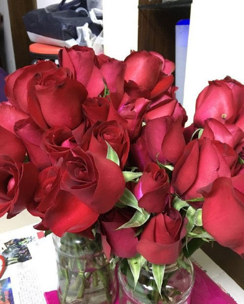 求婚玫瑰被炒成酱 男友心理阴影面积得多大啊 - 壹忧舍