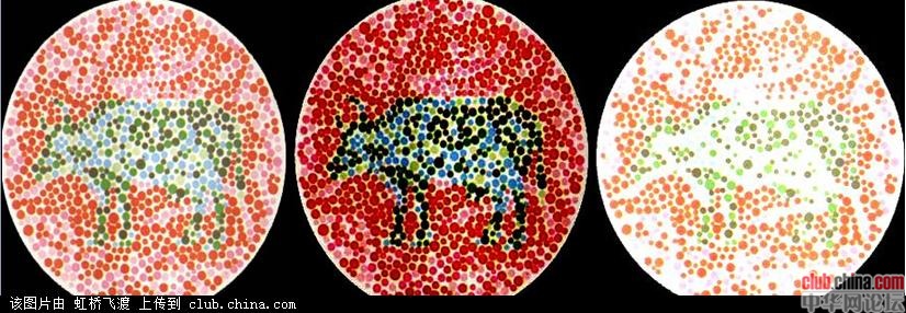 色盲色弱测试图 快来测试一下你是色盲不? 色盲 色弱