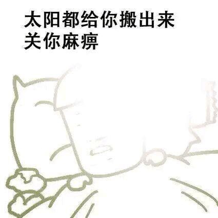 拥有非常丰富的表情包是一种怎样的体验?斗图大会开始啦! 表情包 斗图