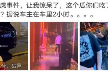 厦门路虎事件,好白,这瓜好吃吗? - 壹忧舍