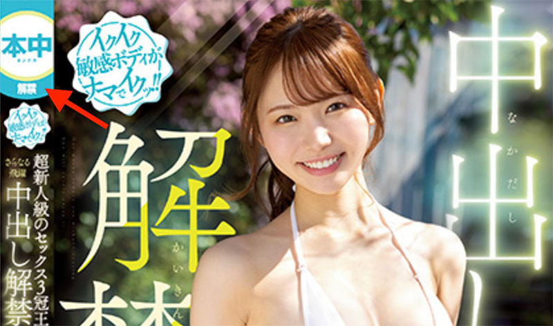 图片[6] - 响莲(Hibiki-Ren)最新作品HMN-455封面及内容欣赏 - 壹忧舍