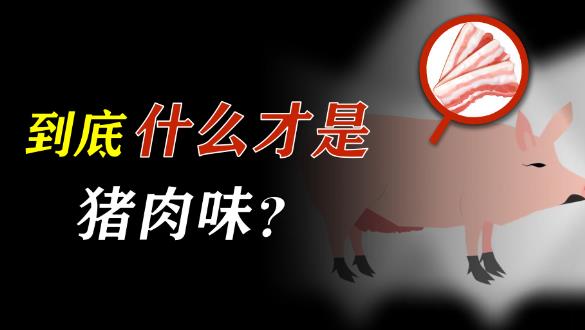 为什么现在的猪没有猪肉味? - 壹忧舍