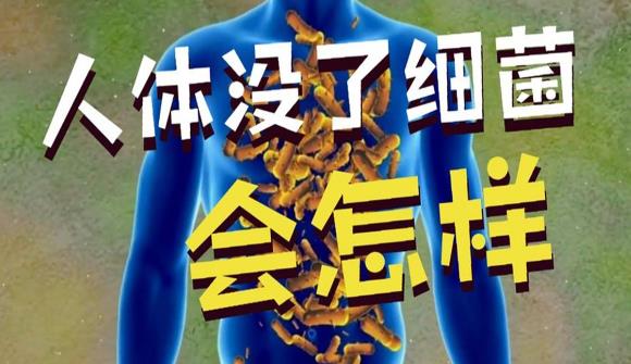 如果人体内所有细菌全部消失,会发生什么? - 壹忧舍