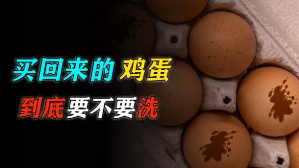 买回来的鸡蛋,到底要不要洗? - 壹忧舍