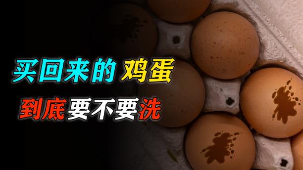 买回来的鸡蛋，到底要不要洗？ - 壹忧舍