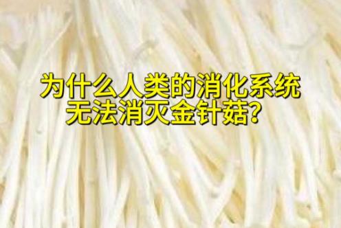 为什么人类的消化系统,无法消灭金针菇? - 壹忧舍