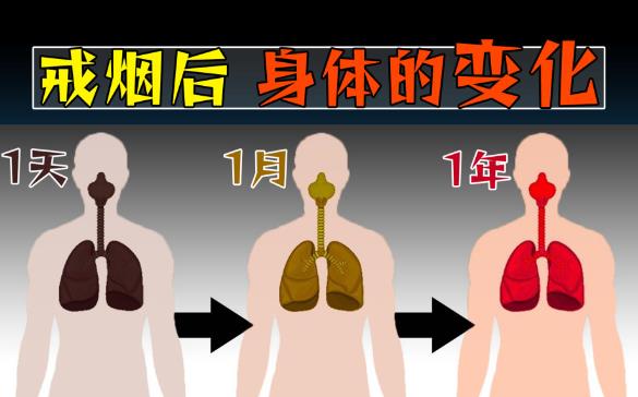 戒烟后,变黑的肺还能完全恢复正常吗? - 壹忧舍