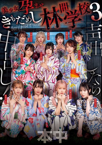 「超级鬼屋惊魂」共演作品HNDS-182封面及内容欣赏 - 壹忧舍